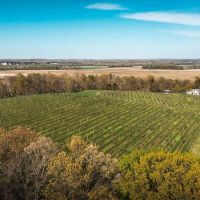 Bias Winery Gruhlke s Microbrewery images 3
