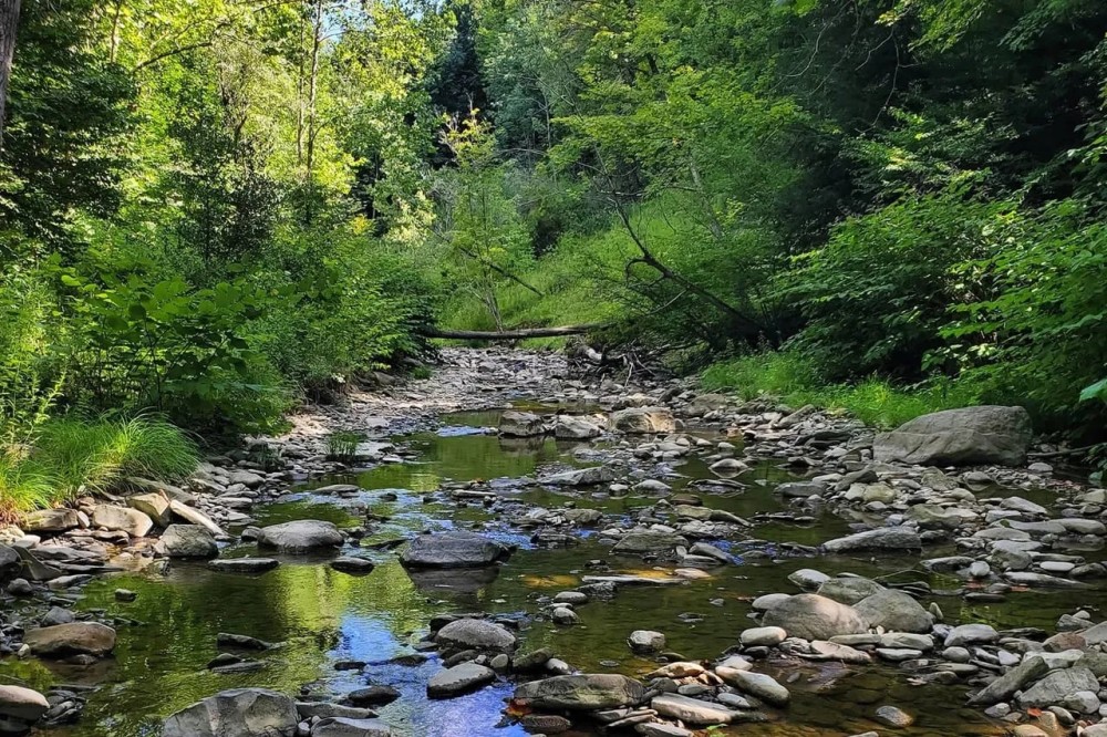 Hunt Hollow Hideaway featured image