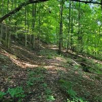Hunt Hollow Hideaway images 2