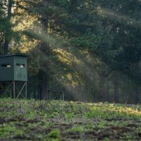 Gin Mill images 3