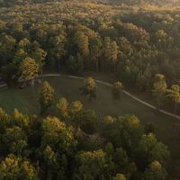 Gin Mill images 4