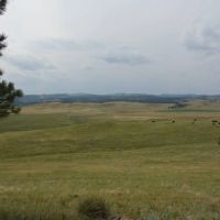 Timber Ridge Ranch