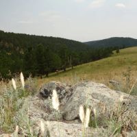Timber Ridge Ranch images 2