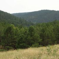 Timber Ridge Ranch images 4
