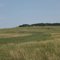 Timber Ridge Ranch images 5