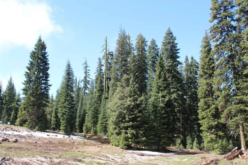 Keno Access Road - 480 acres - Klamath Falls Oregon featured image
