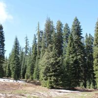 Keno Access Road - 480 acres - Klamath Falls Oregon