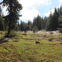 Keno Access Road - 480 acres - Klamath Falls Oregon images 3