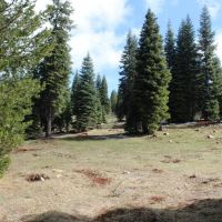 Keno Access Road - 480 acres - Klamath Falls Oregon images 4