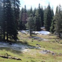 Keno Access Road - 480 acres - Klamath Falls Oregon images 5