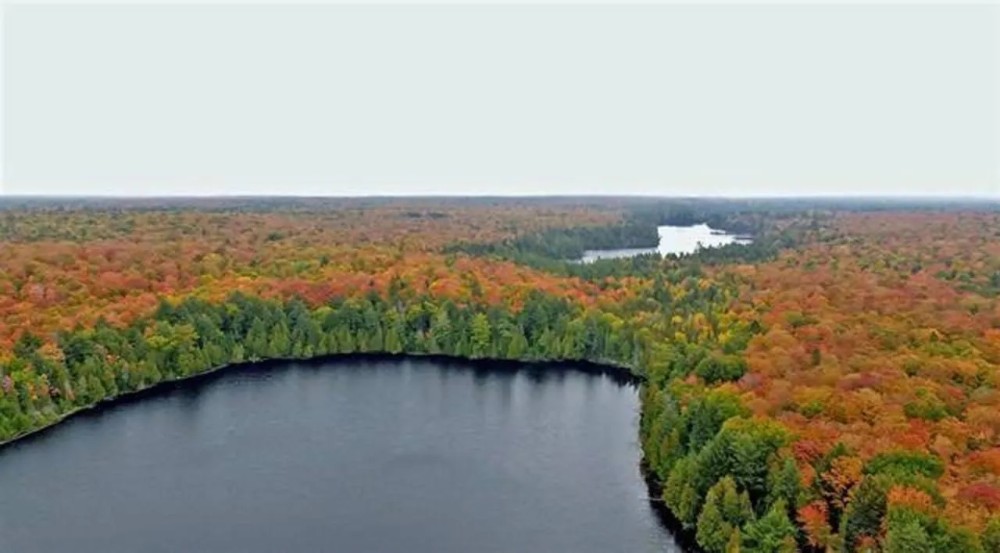 My Own Wilderness w 2 Private Lakes 1118628 featured image