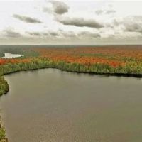 My Own Wilderness w 2 Private Lakes 1118628 images 4
