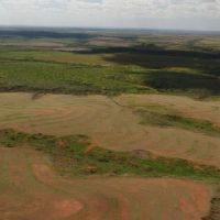 HUNTING PROPERTY LAND FOR SALE ESTELLINE TEXAS REALTREE images 2