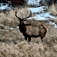 Beautiful 40 acre Hunting Lease with Orchard on the Edge of +101,000-acre Wildlife Area