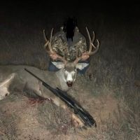 Texas panhandle mule deer hunts