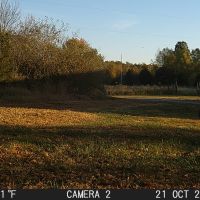 Big buck 202 front gate