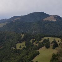 1800+acres of amazing views and wildlife located in the Mattole Valley in California