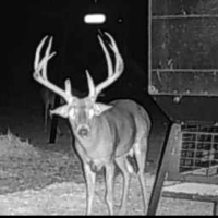 Webb County Low Fence Trophy Lease