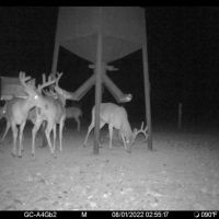 3800 acres Webb county