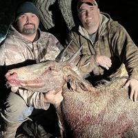 South texas free range nilgai