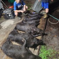 Still hunting club