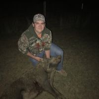 Hall County Dove Hunting