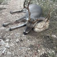 2000 acres Concan Texas