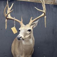 A beautiful 750 acres located in southern Jack County comprised of rolling Oaks with Mesquite