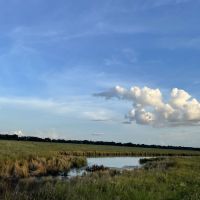 Img-6972