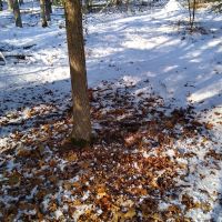 Img 20221121 123931333 hdr
