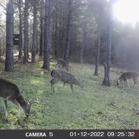 4 bucks