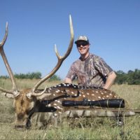 Free range axis buck hunts north of Brackettville tx
