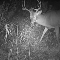 Hunting pic 1
