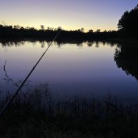 Img 0565