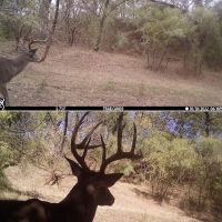 Historic Ranch on Clear Fork of The Brazos River