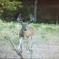 85b57fa9-fbc3-4723-98da-a94752dab2fc