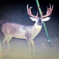 Deep South Texas Lease, 7350 acres, Starr County, TX