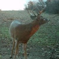Bethany hunt pic 9a