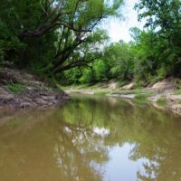 Sulphur river
