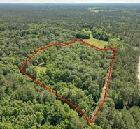 Deer, Duck, Hog, and Turkey Lease $10,000