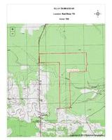 Reasonably priced, Piney Woods lease outside of Clarksville