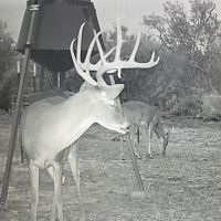 500 Acre High Fenced Hunting