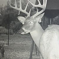 Ry2