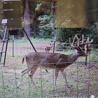 East Texas MLDlll Managed Lease