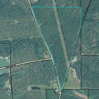 95 Acres, Big Buck Area