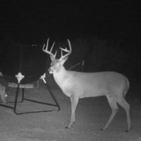 Wichita County - 4,200 Acre Lease