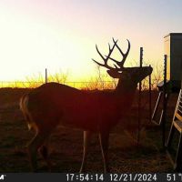 Img 7843