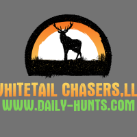 Daily hunts