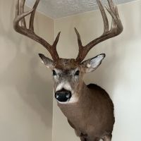 37 acres, 25 mi north of Columbus, 5 mi north of intersection of I71 and St Rt 36