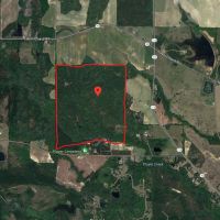 BEAUTIFUL 257 ACRES, GREAT HUNTING!